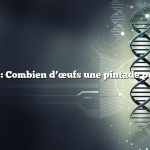 Question : Combien d’œufs une pintade pond-elle ?